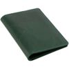 Обложка для паспорта inStream, зеленая
