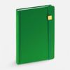 Ежедневник Favor Gold, недатированный, ярко-зеленый