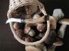 Нож грибника Opinel No 8, бук