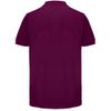 Рубашка поло унисекс Pacific, фиолетовая (сливовая)