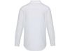 Sphene мужская рубашка оксфорд - Белый