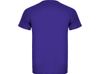 Спортивная футболка "Montecarlo" мужская, лиловый