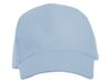Бейсболка «Florida 350» 5-панельная, небесно-голубой