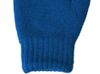 Варежки «Dunant», классический синий