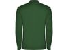Рубашка поло "Estrella" мужская с длинным рукавом, бутылочный зеленый