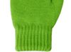 Варежки «Dunant», зеленое яблоко