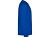 Футболка "Montecarlo " мужская с длинным рукавом, королевский синий