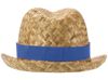 Pricus соломенная шляпа - Ярко-синий / Натуральный