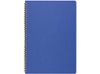 Бизнес тетрадь на гребне А4 "Pragmatic", 100 листов в клетку, синий