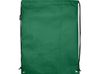 Рюкзак-мешок  на шнурке «Evergreen» из переработанного нетканого материала, зеленый