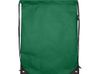 Рюкзак-мешок  на шнурке «Evergreen» из переработанного нетканого материала, зеленый
