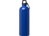 Одностенная бутылка для воды с карабином Oregon, изготовленная из нержавеющей стали, сертифицированной по стандарту RCS, объемом 750 мл - Ярко-синий