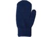 Варежки «Dunant», темно-синий
