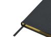 Ежедневник недатированный А5 "Amazonia", черный с золотым обрезом