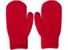 Варежки «Dunant», красный