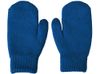 Варежки «Dunant», классический синий