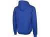 Толстовка с капюшоном "Amsterdam" мужская, синий классический
