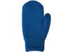 Варежки «Dunant», классический синий