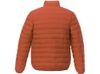 Мужская утепленная куртка Athenas, оранжевый