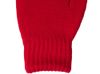Варежки «Dunant», красный