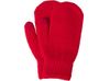 Варежки «Dunant», красный