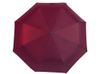 Зонт-полуавтомат Roof с куполом из переработанного пластика, бургунди 7421C