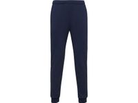 Брюки спортивные «Rodas» мужские, синий нэйви