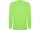 Футболка с длинным рукавом "Extreme" детская, зеленое яблоко