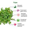 Набор для выращивания микрозелени: РЕДИС, зеленый, белый