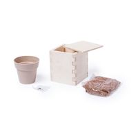 Горшочек для выращивания мяты с семенами (6-8шт) в коробке MERIN, биоразлагаемый материал, дерево, бежевый