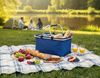 Корзина для пикника "Picnic" , синий
