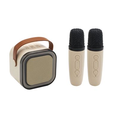 Караоке станция "Duet", бежевый