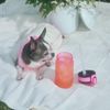 Бутылка для воды Флип мини (Flip mini), розовая