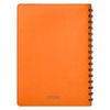 Ежедневник Vista недатированный, оранжевый/коричневый