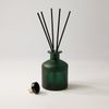 Диффузор ароматический Mizu, зеленый