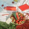 Термобутылка вакуумная герметичная Прима (Prima), красная
