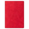 Ежедневник Portfolio Caprice A5+
