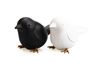 Набор для специй Sparrow Salt &amp; Pepper
