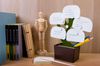 Органайзер настольный Bonsai